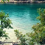 Turkovic