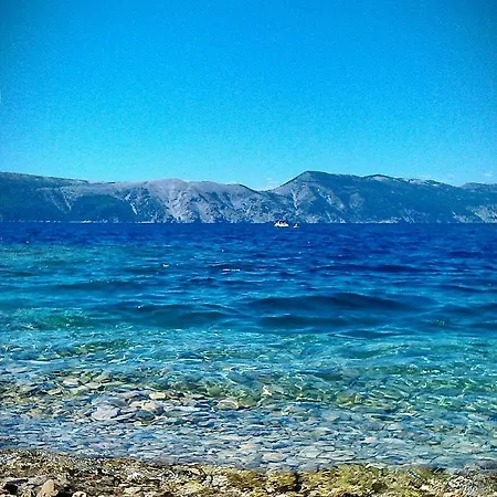 Turkovic * Zgaljic