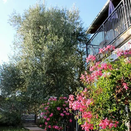 Turkovic Διαμέρισμα Zgaljic