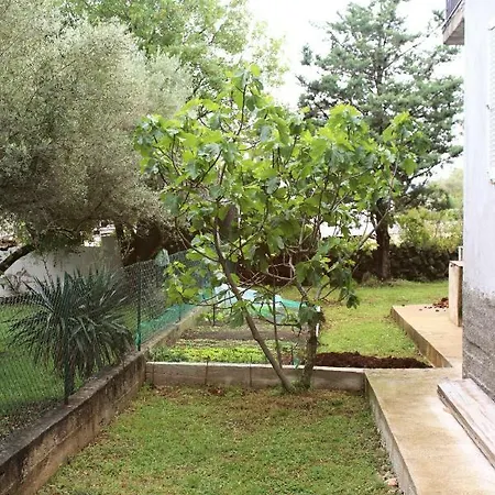 Turkovic Apartment *