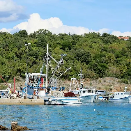 아파트 Turkovic Zgaljic