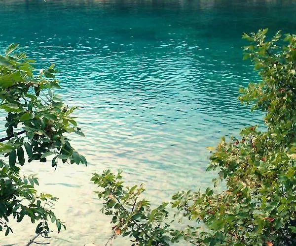 Turkovic