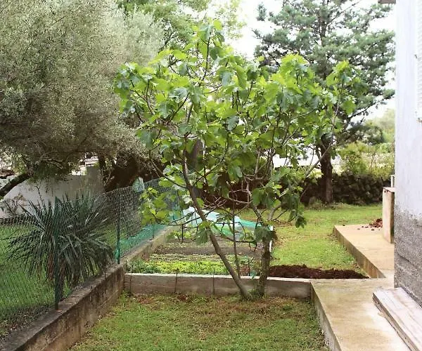 Turkovic Apartment *