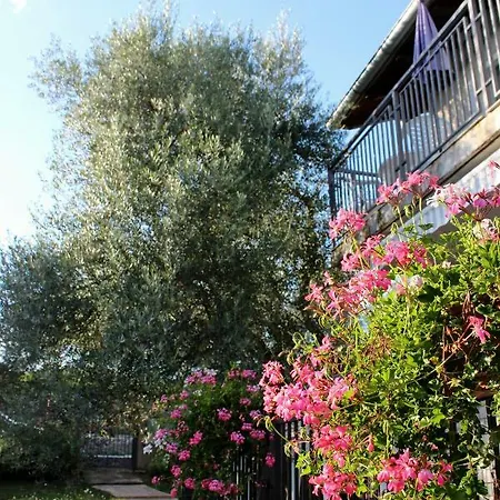 Turkovic Апартаменты Zgaljic