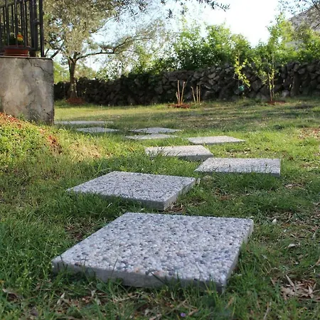 Апартаменты Turkovic *